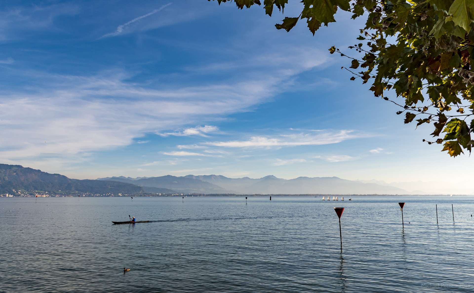 Blick über den Bodensee